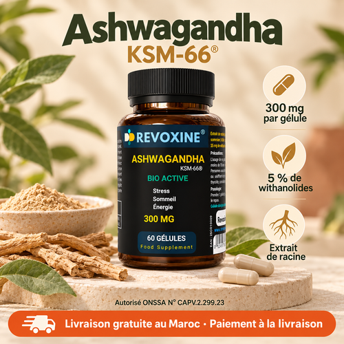 Ashwagandha KSM-66 Revoxine 60 gélules sur podium minéral