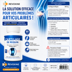 Cartilage de Requin – 60 Gélules